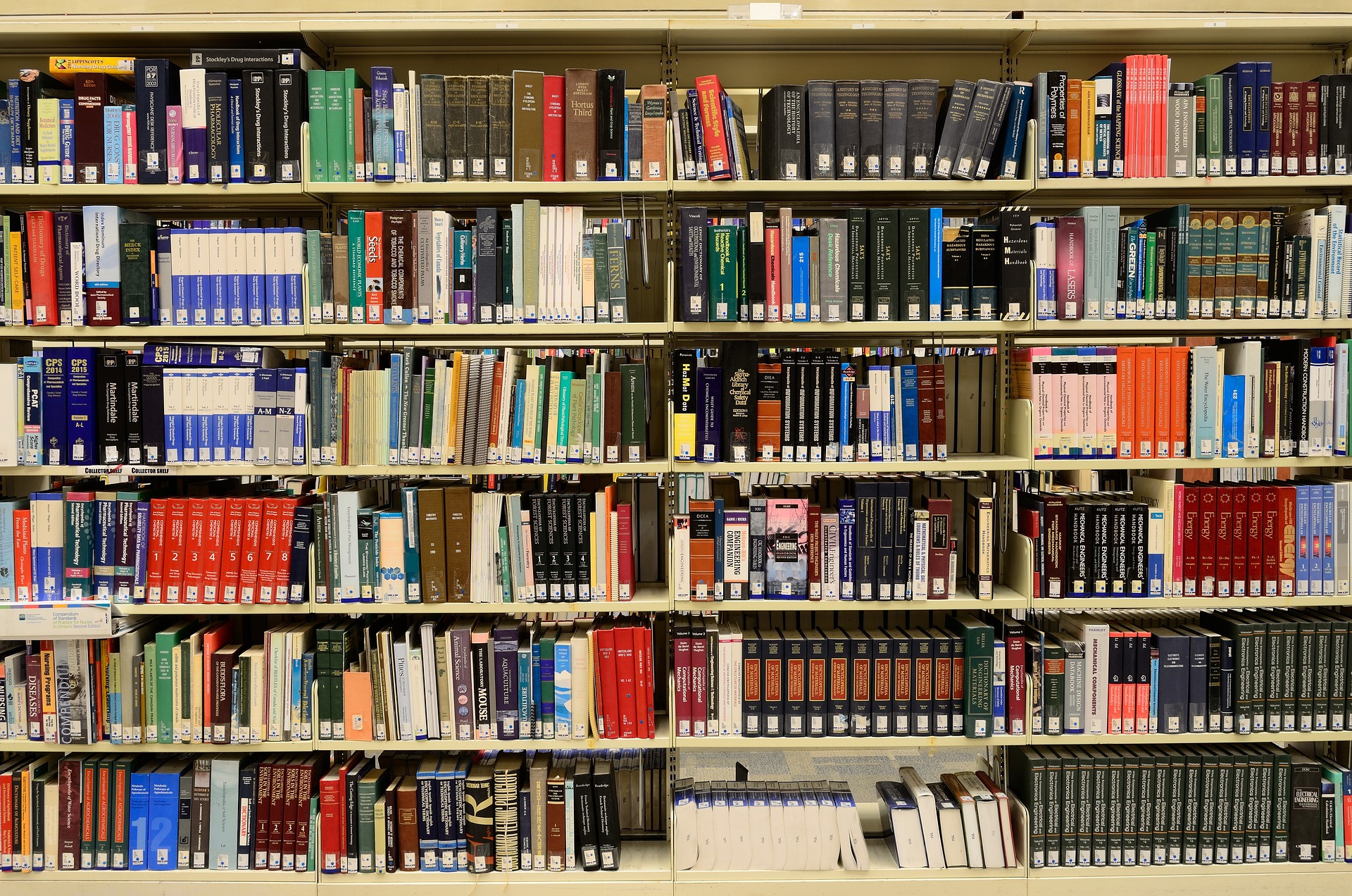 Bücherwand